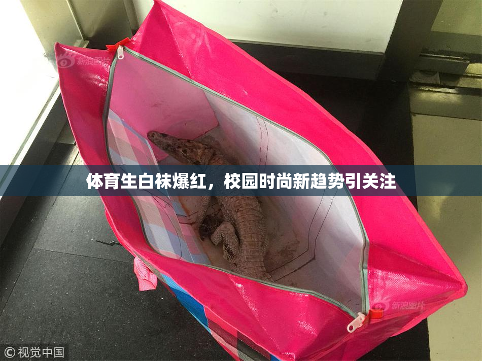 体育生白袜爆红，校园时尚新趋势引关注