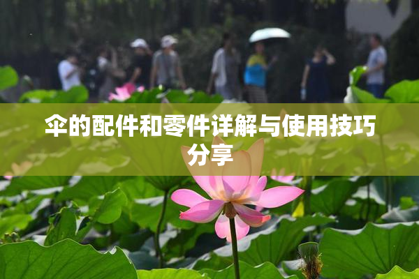 伞的配件和零件详解与使用技巧分享
