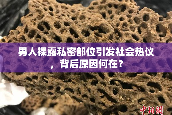 男人裸露私密部位引发社会热议，背后原因何在？