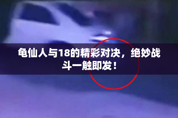 龟仙人与18的精彩对决，绝妙战斗一触即发！