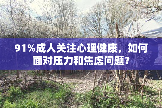 91%成人关注心理健康，如何面对压力和焦虑问题？