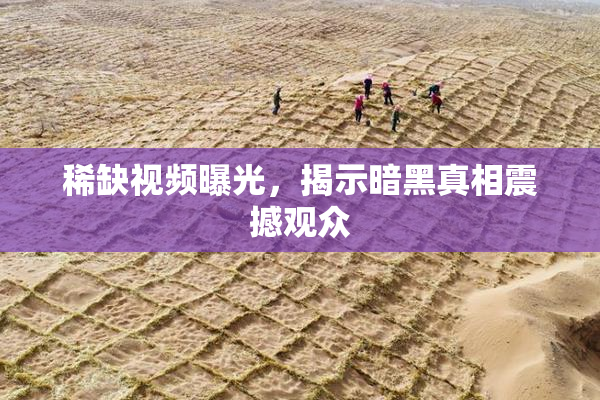 稀缺视频曝光，揭示暗黑真相震撼观众