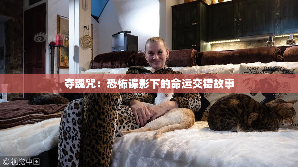 夺魂咒：恐怖谍影下的命运交错故事