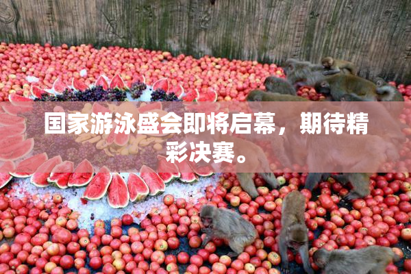 国家游泳盛会即将启幕，期待精彩决赛。