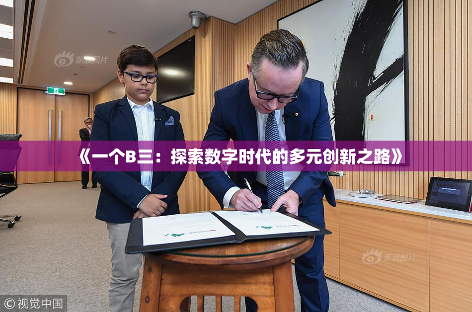 《一个B三：探索数字时代的多元创新之路》