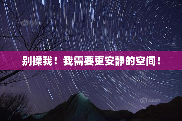 别揉我！我需要更安静的空间！