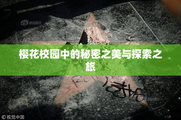 樱花校园中的秘密之美与探索之旅