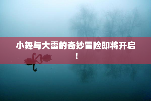 小舞与大雷的奇妙冒险即将开启！