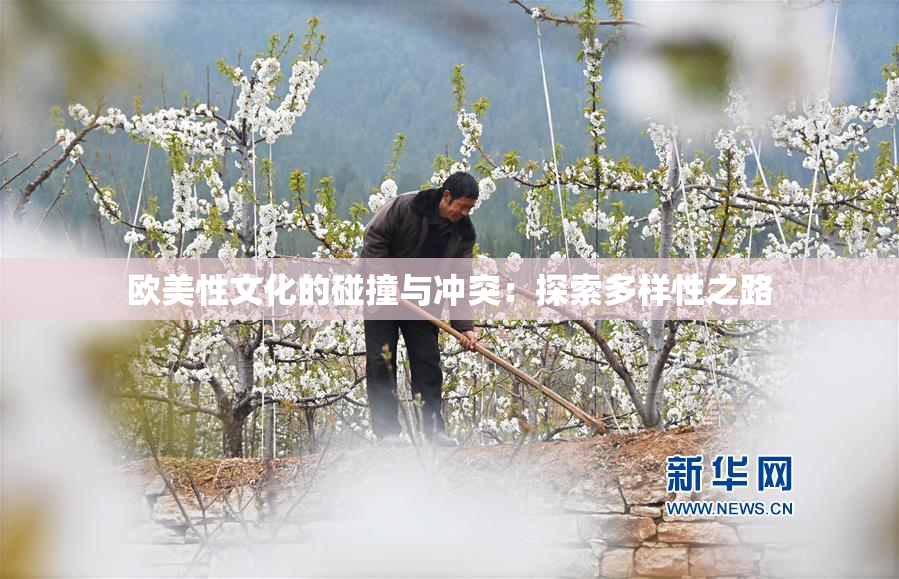 欧美性文化的碰撞与冲突：探索多样性之路