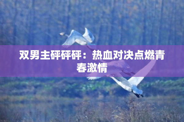 双男主砰砰砰：热血对决点燃青春激情