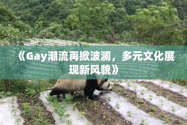《Gay潮流再掀波澜，多元文化展现新风貌》