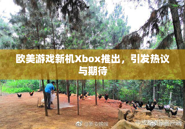 欧美游戏新机Xbox推出，引发热议与期待