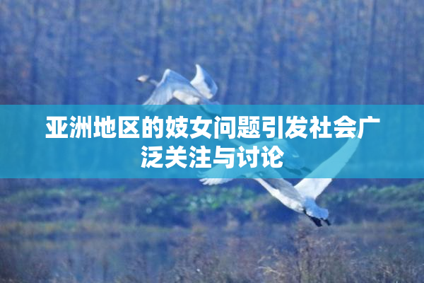 亚洲地区的妓女问题引发社会广泛关注与讨论