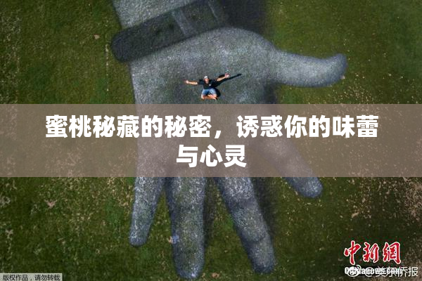 蜜桃秘藏的秘密，诱惑你的味蕾与心灵