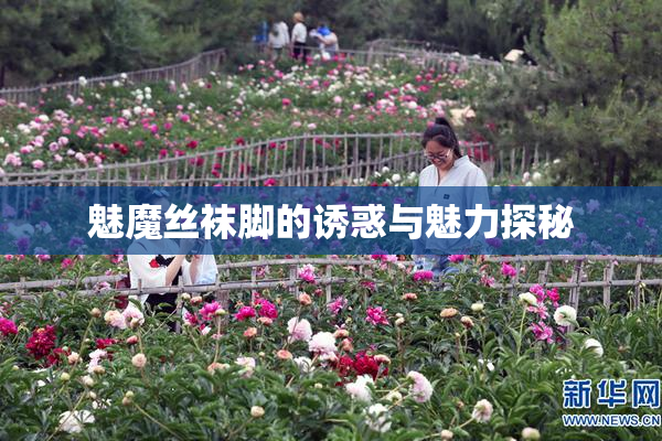 魅魔丝袜脚的诱惑与魅力探秘
