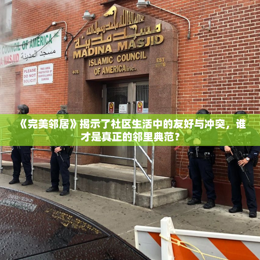 《完美邻居》揭示了社区生活中的友好与冲突，谁才是真正的邻里典范？