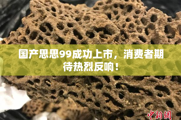 国产思思99成功上市，消费者期待热烈反响！