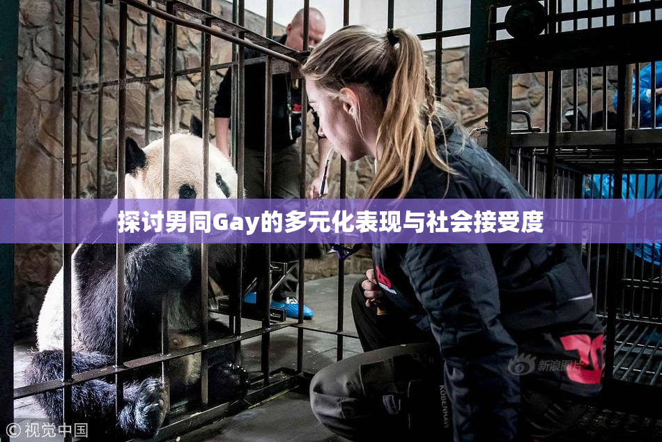 探讨男同Gay的多元化表现与社会接受度