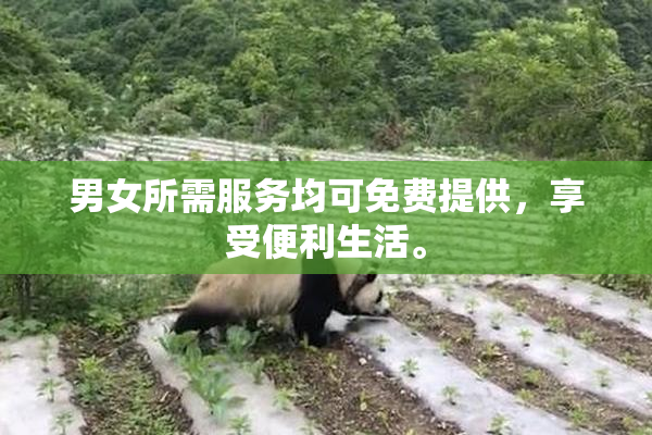 男女所需服务均可免费提供，享受便利生活。