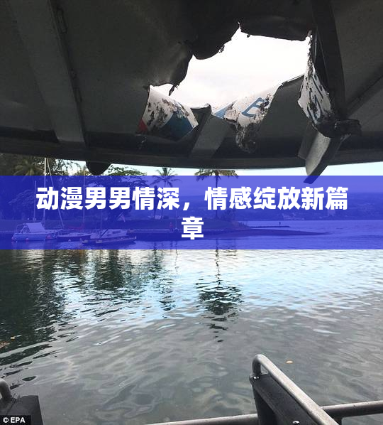 动漫男男情深，情感绽放新篇章