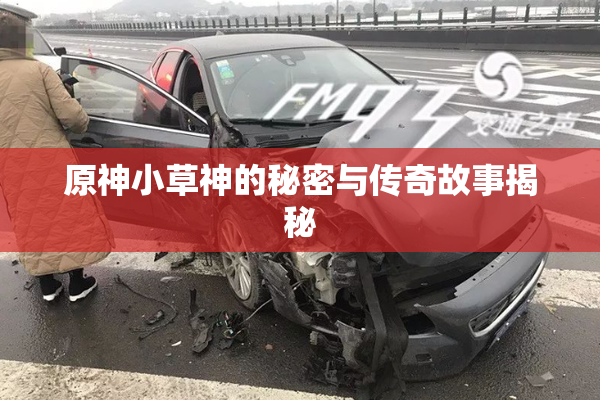 原神小草神的秘密与传奇故事揭秘