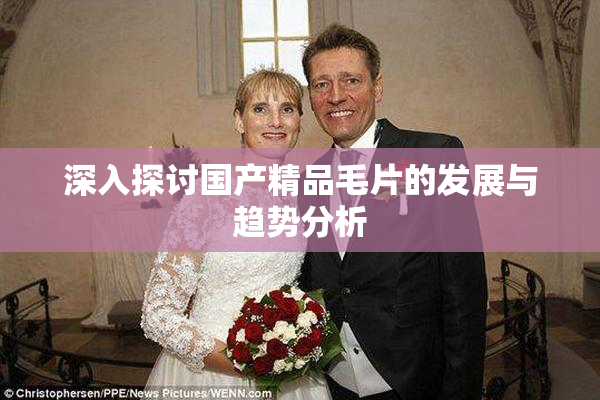 深入探讨国产精品毛片的发展与趋势分析