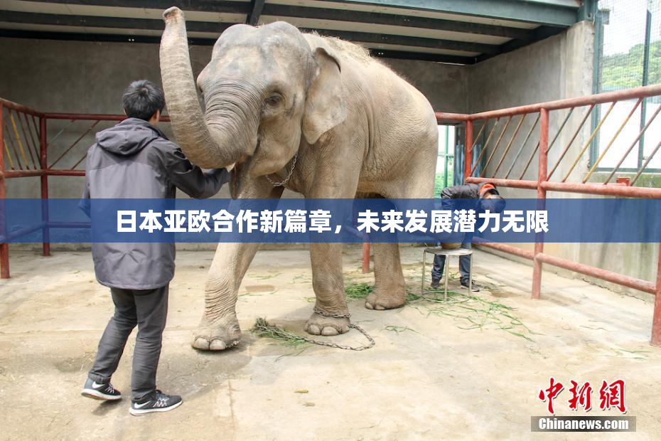 日本亚欧合作新篇章，未来发展潜力无限