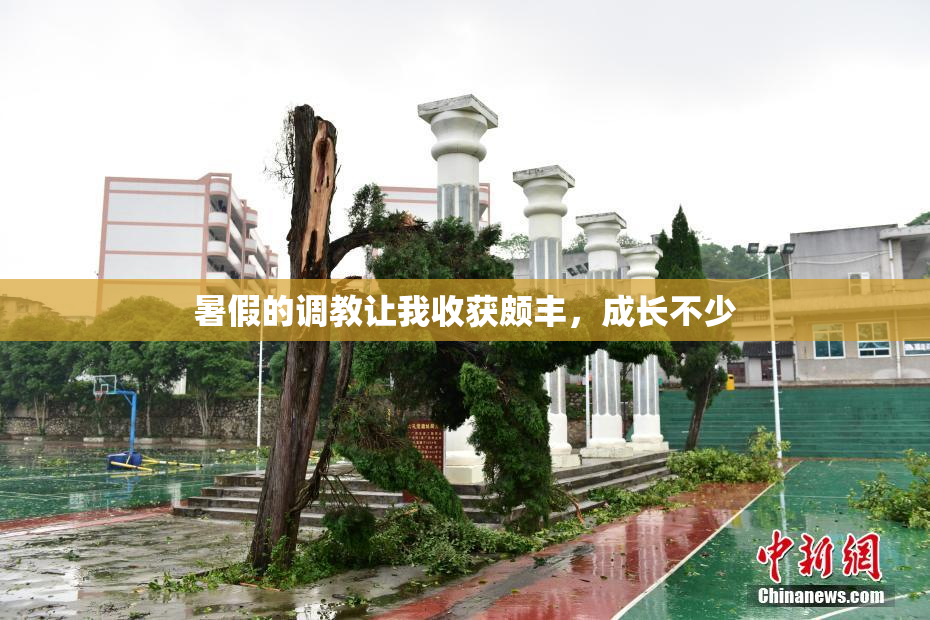 暑假的调教让我收获颇丰，成长不少