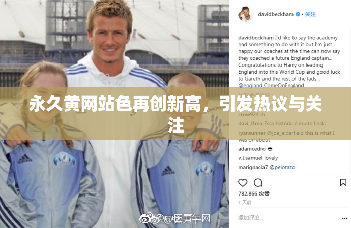 永久黄网站色再创新高，引发热议与关注