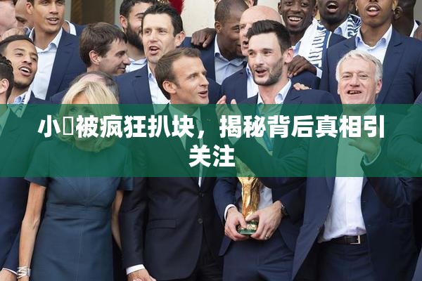 小泬被疯狂扒块，揭秘背后真相引关注