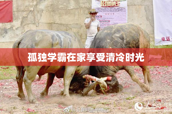 孤独学霸在家享受清冷时光