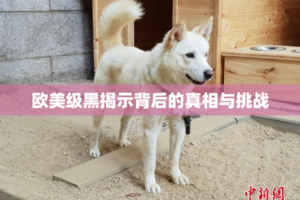 欧美级黑揭示背后的真相与挑战