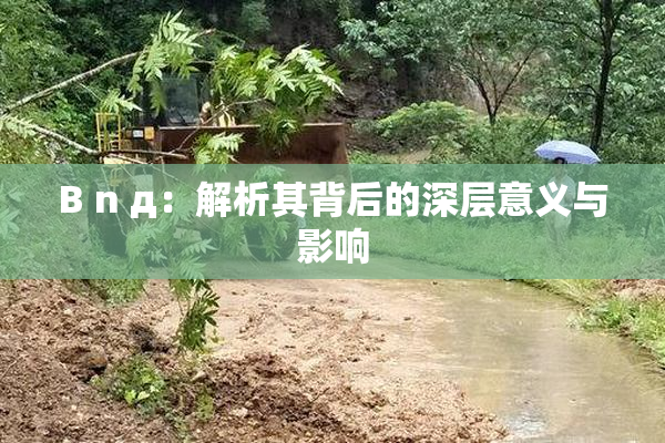 B n д：解析其背后的深层意义与影响