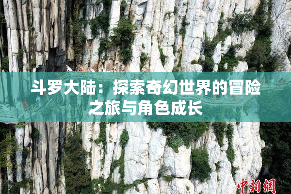 斗罗大陆：探索奇幻世界的冒险之旅与角色成长