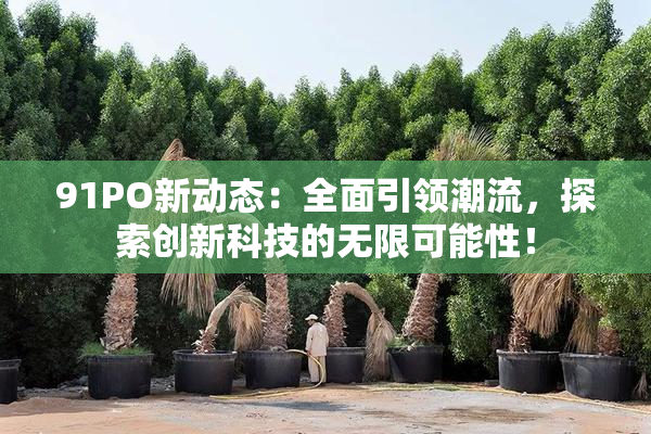 91PO新动态：全面引领潮流，探索创新科技的无限可能性！