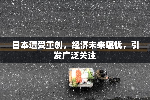 日本遭受重创，经济未来堪忧，引发广泛关注