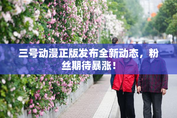 三号动漫正版发布全新动态，粉丝期待暴涨！