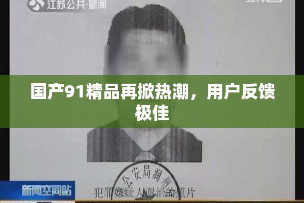 国产91精品再掀热潮，用户反馈极佳
