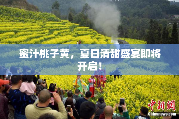 蜜汁桃子黄，夏日清甜盛宴即将开启！
