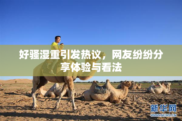 好骚湿重引发热议，网友纷纷分享体验与看法