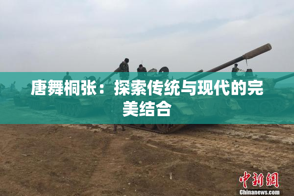 唐舞桐张：探索传统与现代的完美结合