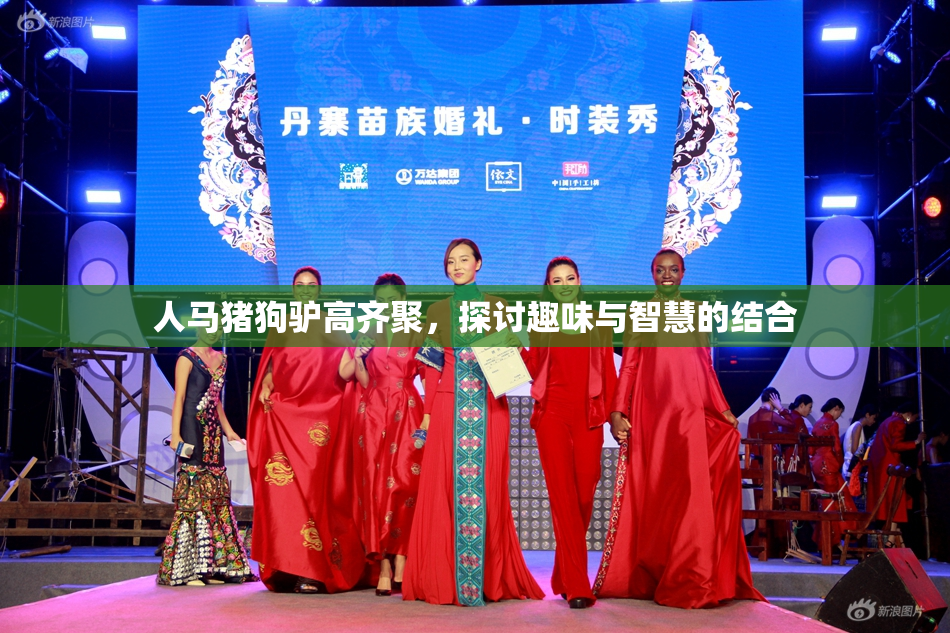 人马猪狗驴高齐聚，探讨趣味与智慧的结合
