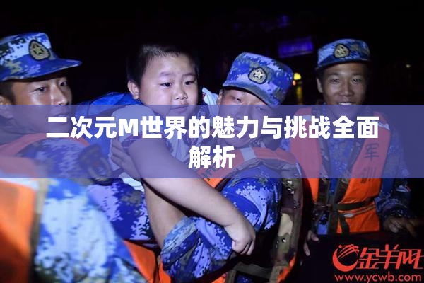 二次元M世界的魅力与挑战全面解析