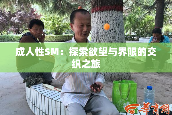 成人性SM：探索欲望与界限的交织之旅