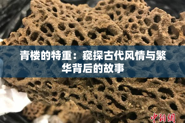 青楼的特重：窥探古代风情与繁华背后的故事