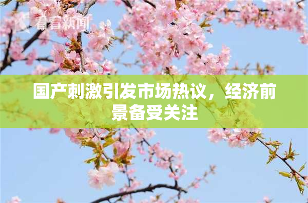 国产刺激引发市场热议，经济前景备受关注