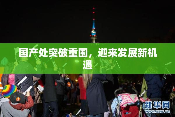 国产处突破重围，迎来发展新机遇