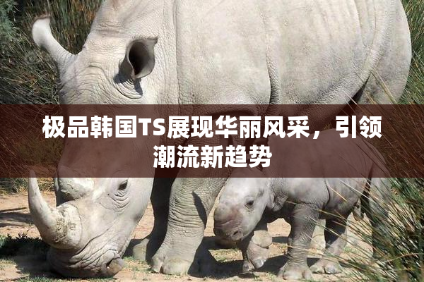 极品韩国TS展现华丽风采，引领潮流新趋势
