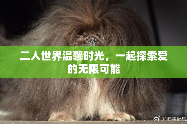 二人世界温馨时光，一起探索爱的无限可能