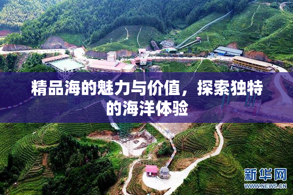 精品海的魅力与价值，探索独特的海洋体验